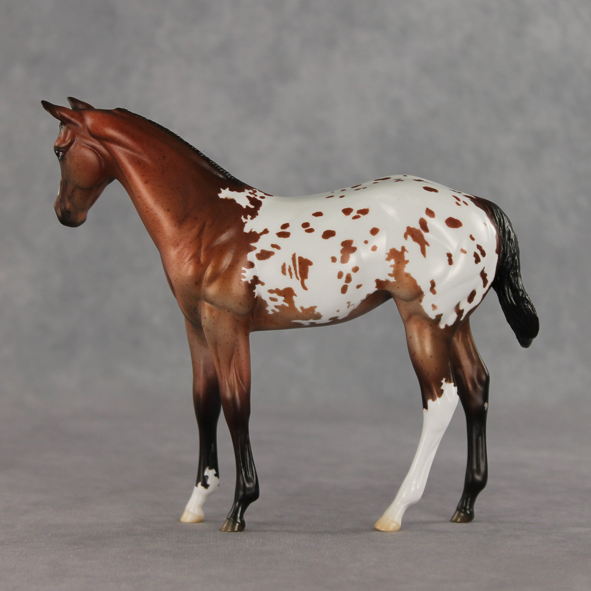Day By Day OOAK Stock Horse Weanling by Jess Hamill VV26