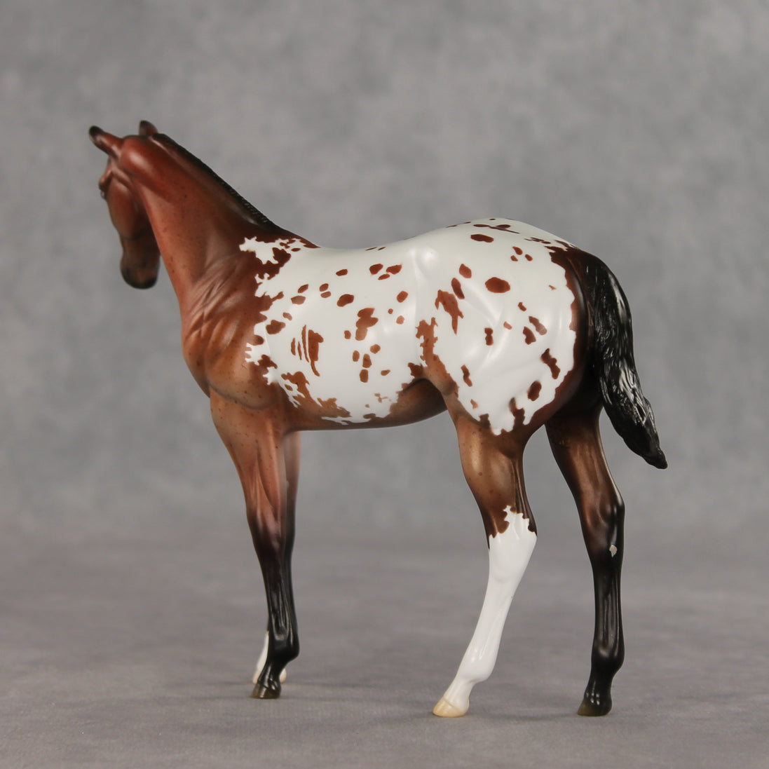 Day By Day OOAK Stock Horse Weanling by Jess Hamill VV26