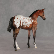 Day By Day OOAK Stock Horse Weanling by Jess Hamill VV26