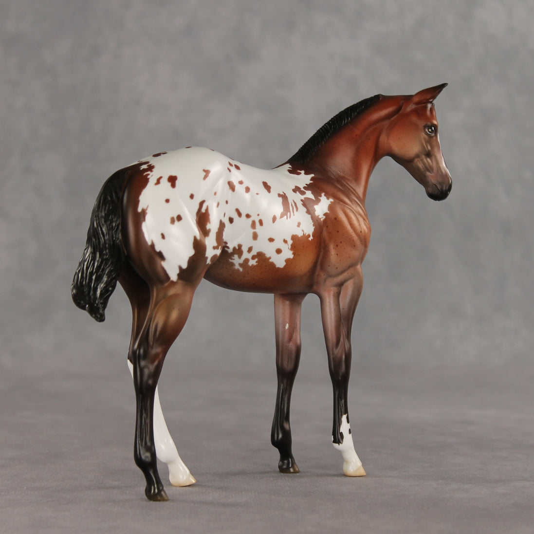 Day By Day OOAK Stock Horse Weanling by Jess Hamill VV26