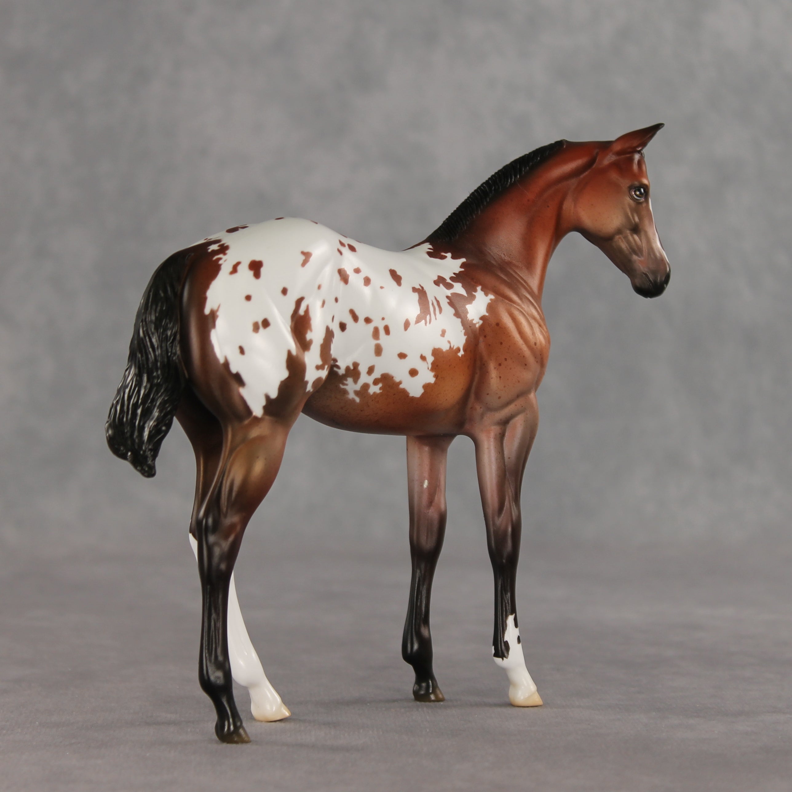 Day By Day OOAK Stock Horse Weanling by Jess Hamill VV26