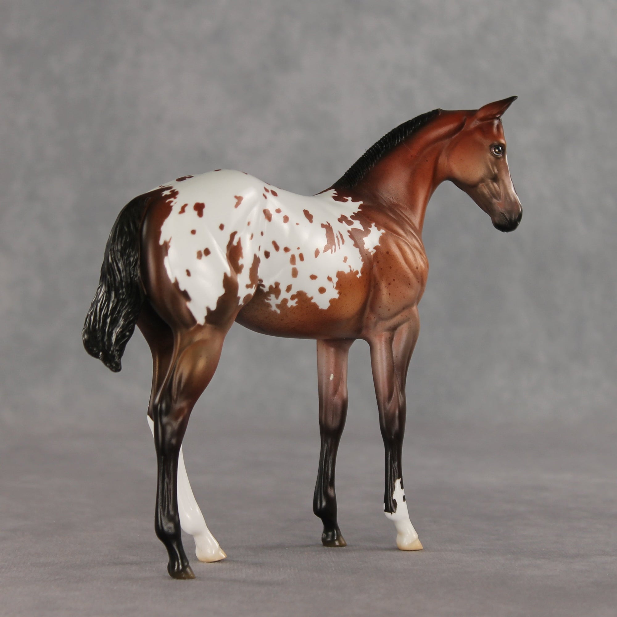 Day By Day OOAK Stock Horse Weanling by Jess Hamill VV26