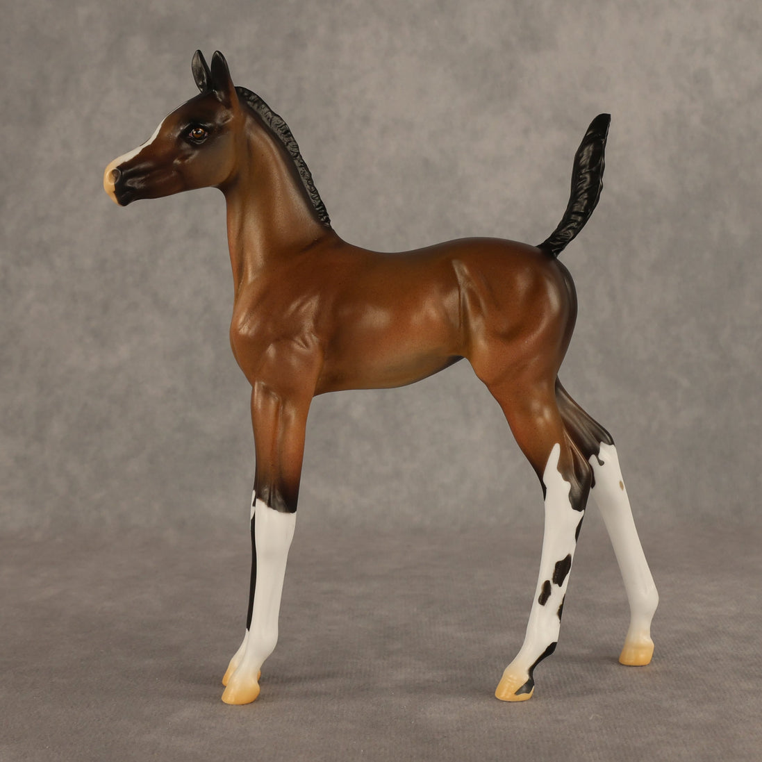 Daylight Comes OOAK Arabian Foal by Alex Fortman EQ26