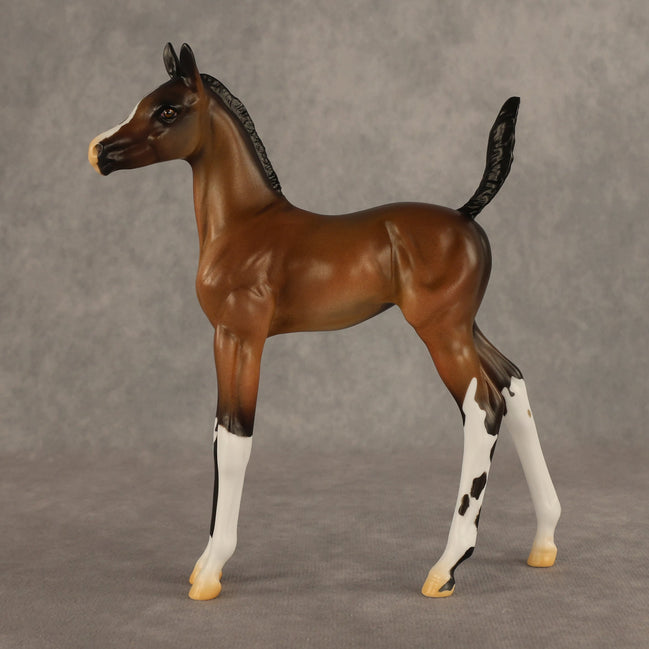 Daylight Comes OOAK Arabian Foal by Alex Fortman EQ26