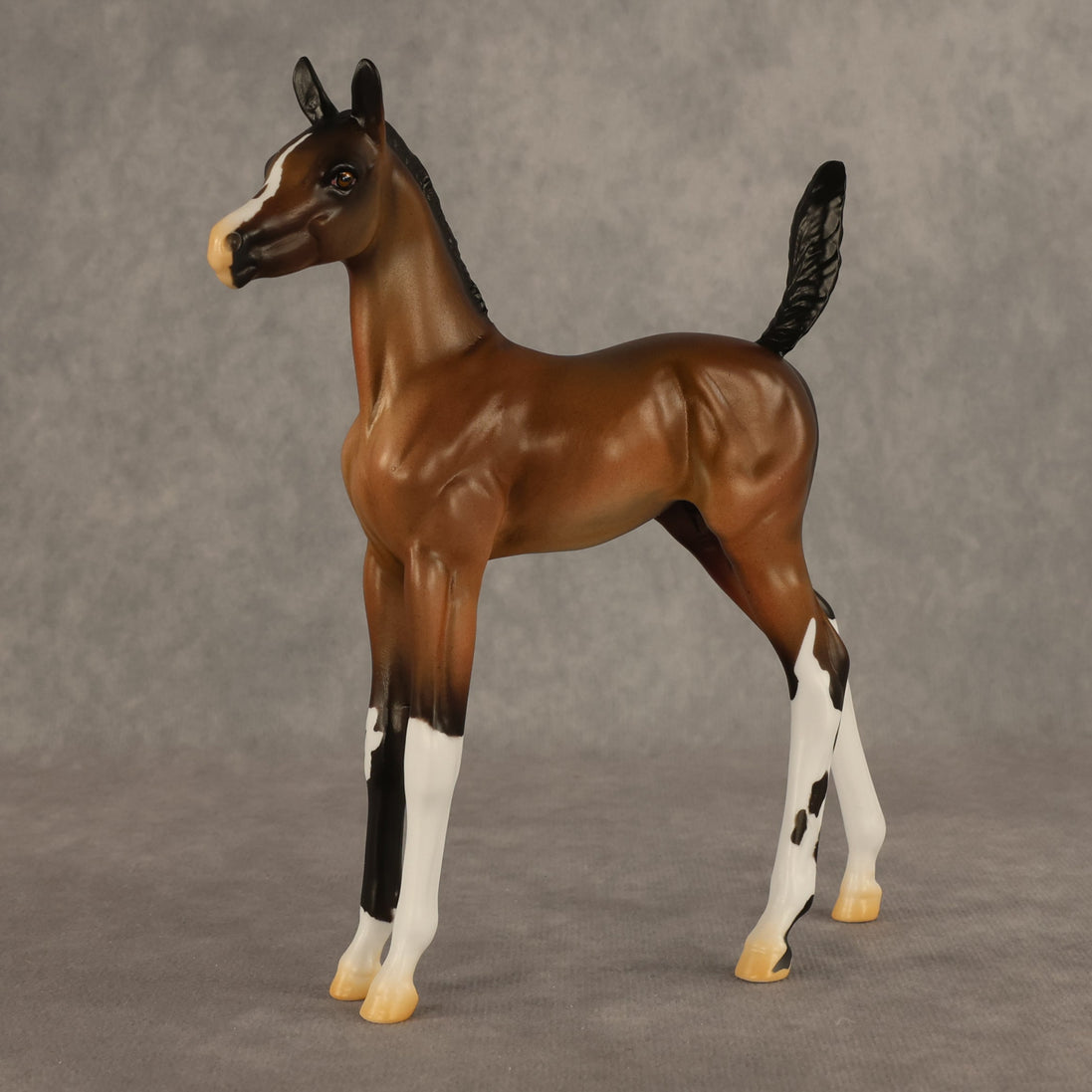 Daylight Comes OOAK Arabian Foal by Alex Fortman EQ26