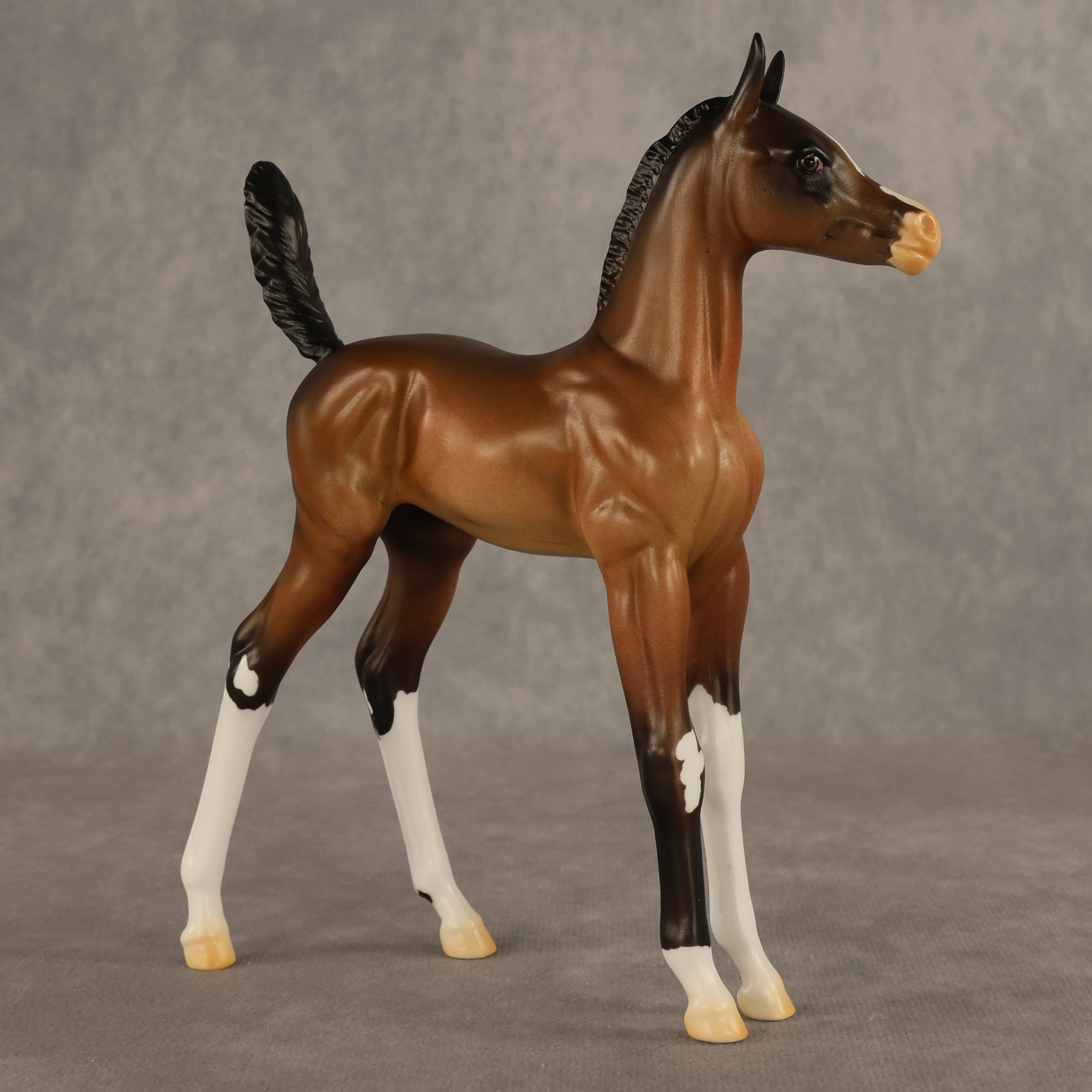 Daylight Comes OOAK Arabian Foal by Alex Fortman EQ26