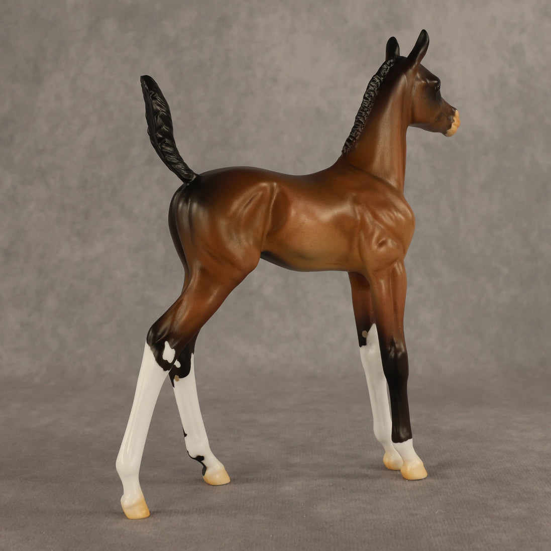 Daylight Comes OOAK Arabian Foal by Alex Fortman EQ26