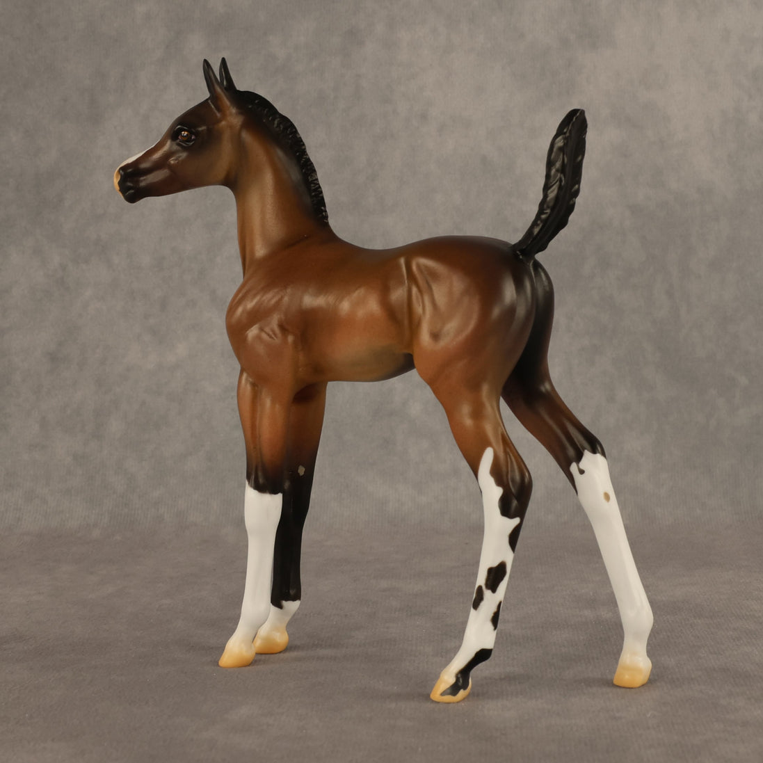 Daylight Comes OOAK Arabian Foal by Alex Fortman EQ26