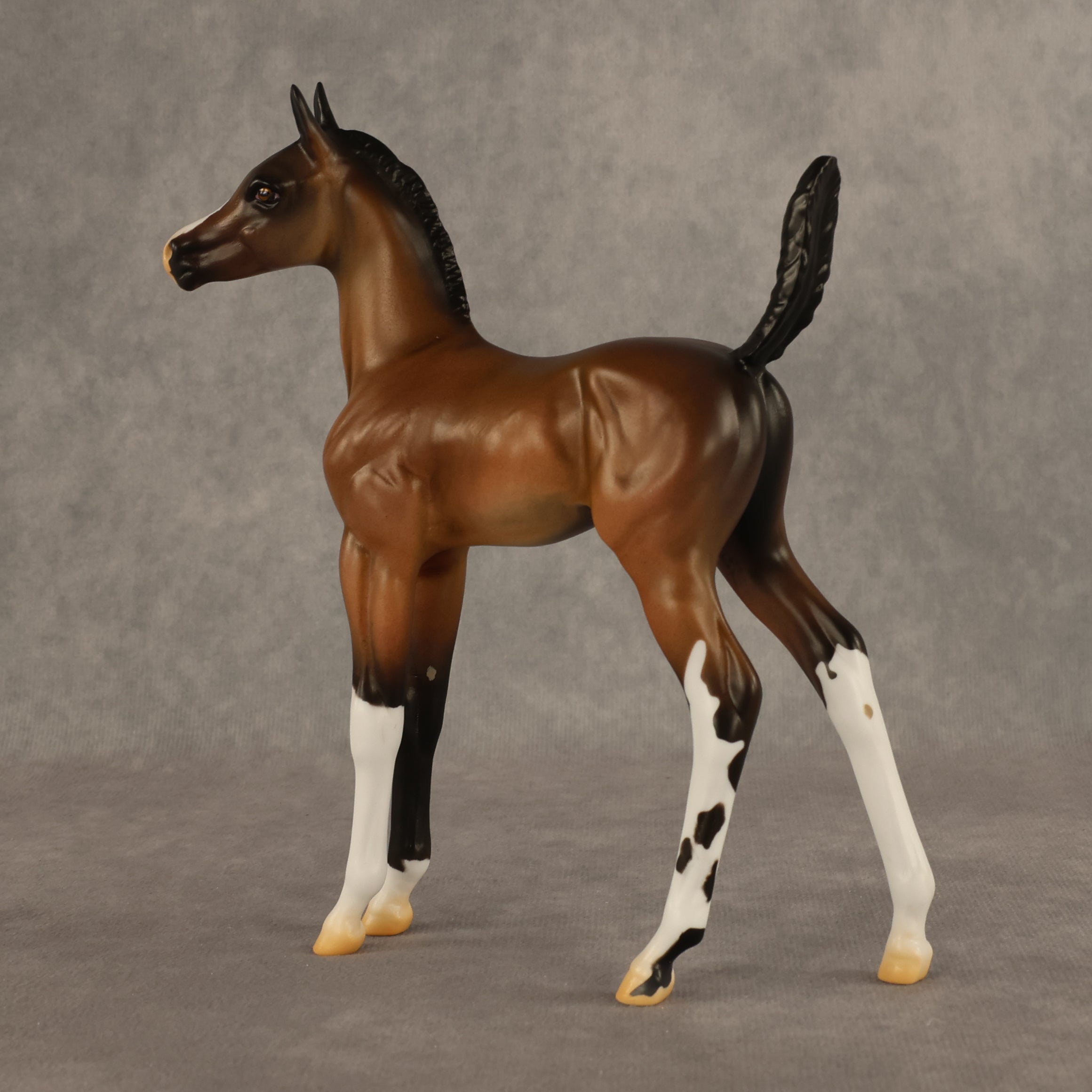 Daylight Comes OOAK Arabian Foal by Alex Fortman EQ26