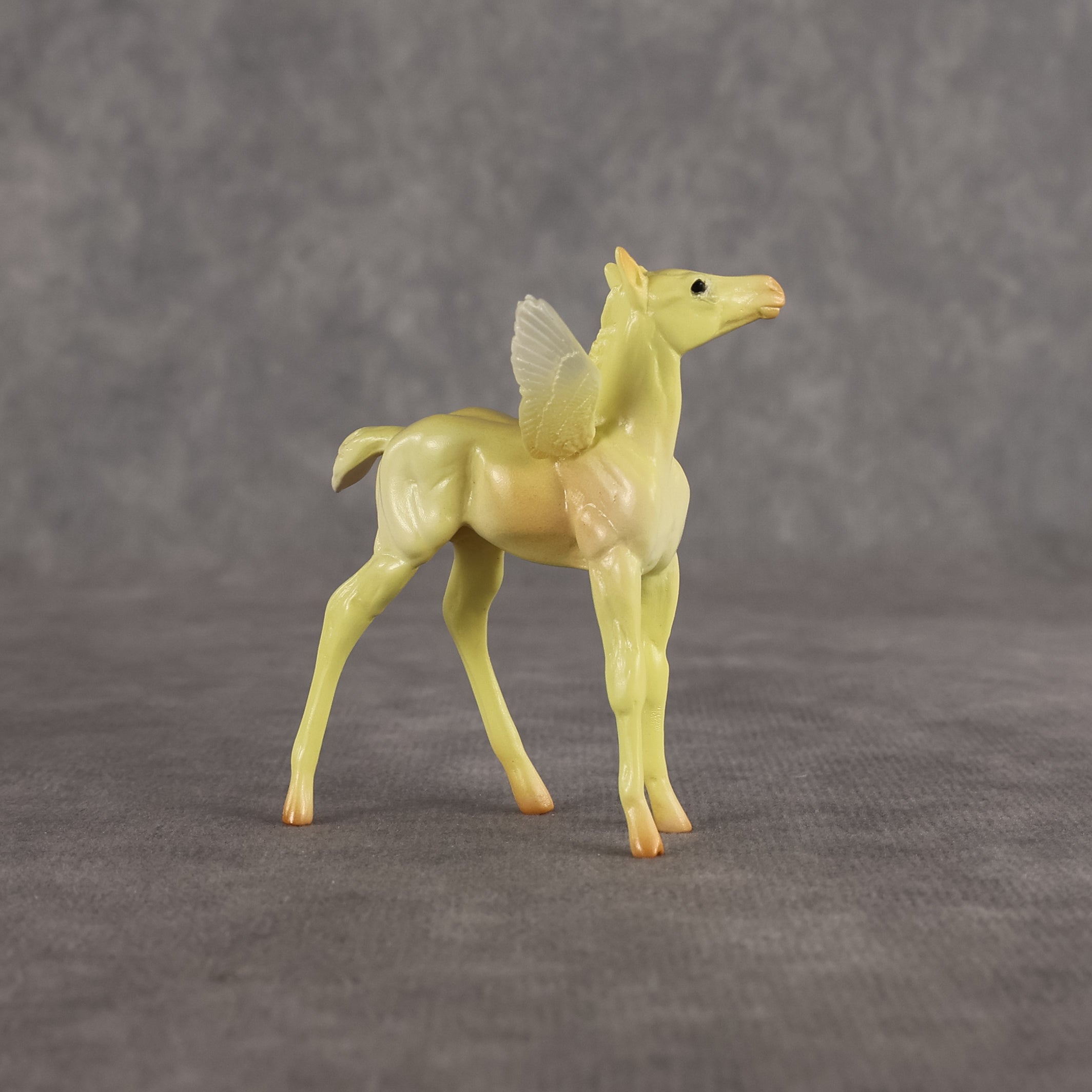 Dean OOAK FCM Chip Foal by Angela Marleau FTF26