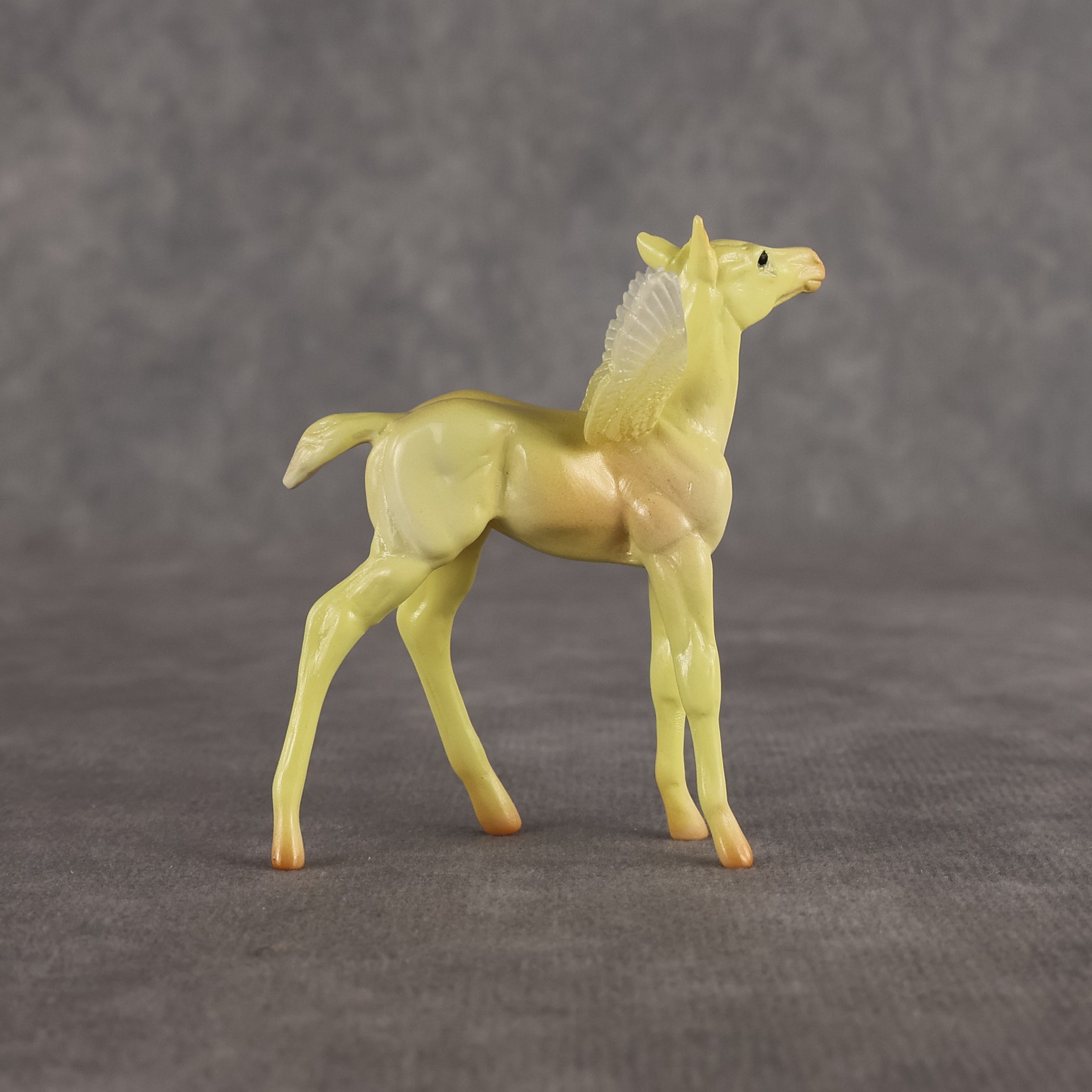 Dean OOAK FCM Chip Foal by Angela Marleau FTF26