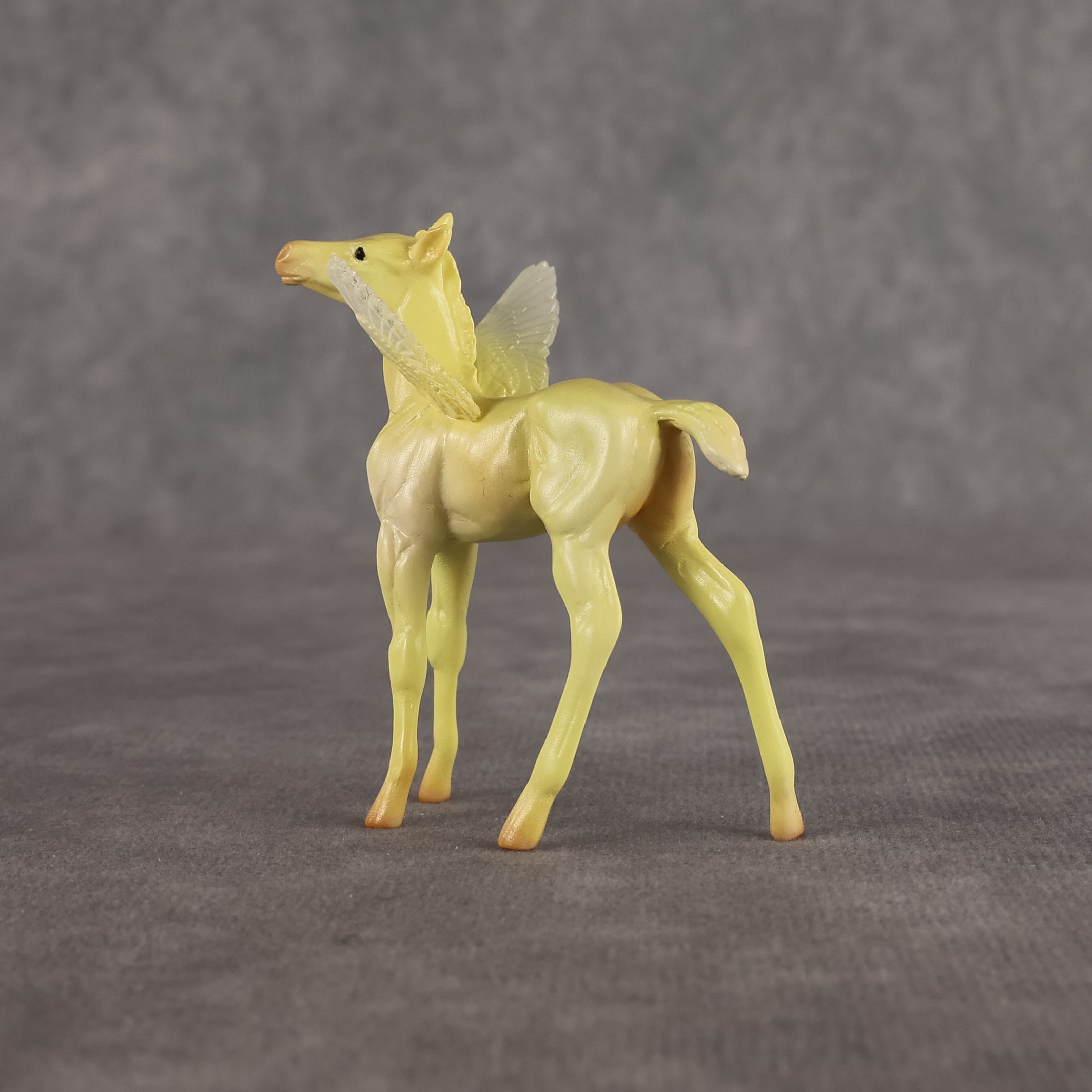 Dean OOAK FCM Chip Foal by Angela Marleau FTF26