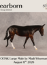 Dearborn OOAK Large Mule by Madi Wiseman DDOOAKs26