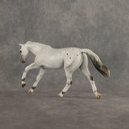 Clean Deborah from Accounting FCM Pebble Stock Horse Designed By Ellen Robbins Equilocity Friday Dinner Model EQ26