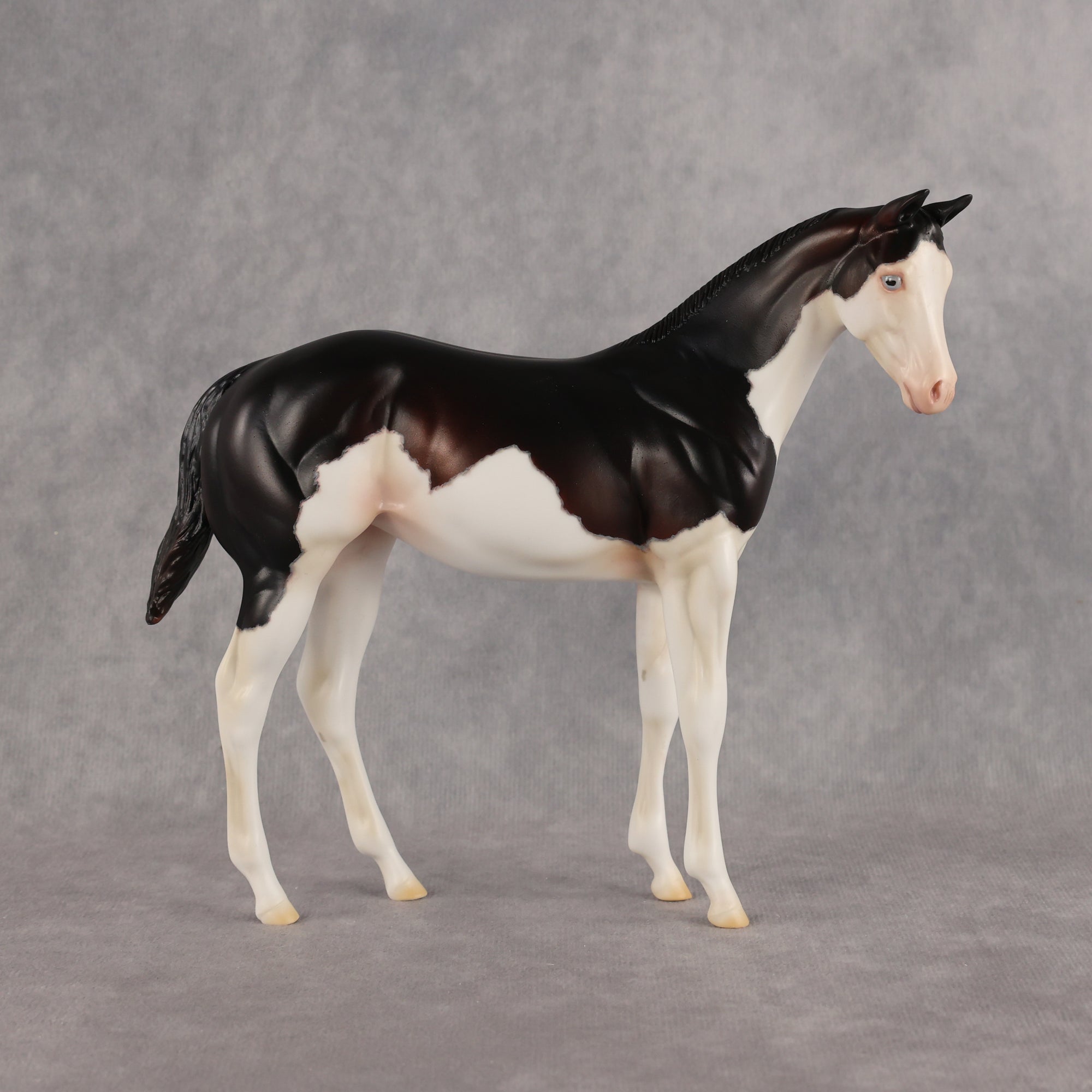 Delayed Debut OOAK Stock Horse Weanling by Heather Bullach Best Offer 8.18.2026