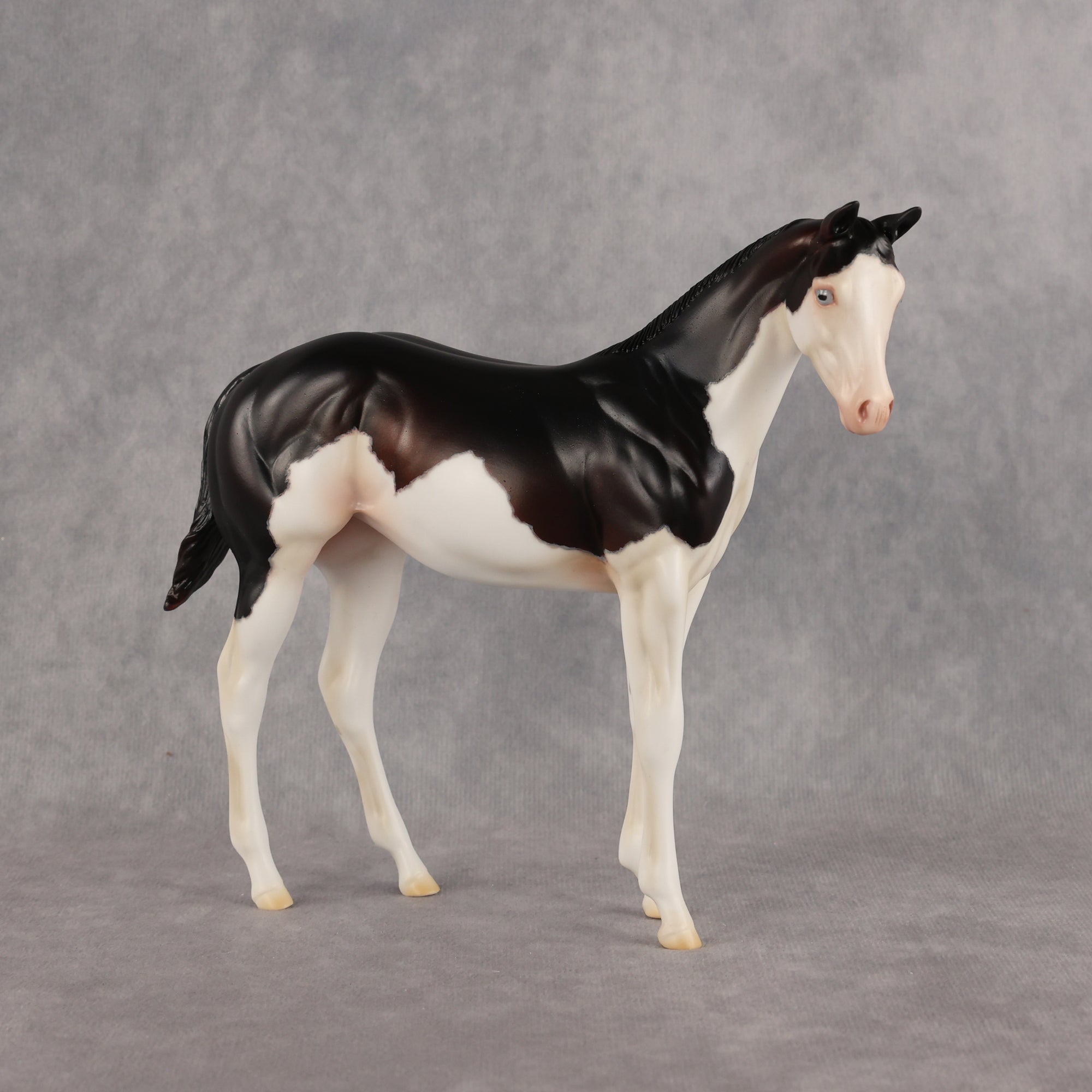 Delayed Debut OOAK Stock Horse Weanling by Heather Bullach Best Offer 8.18.2026
