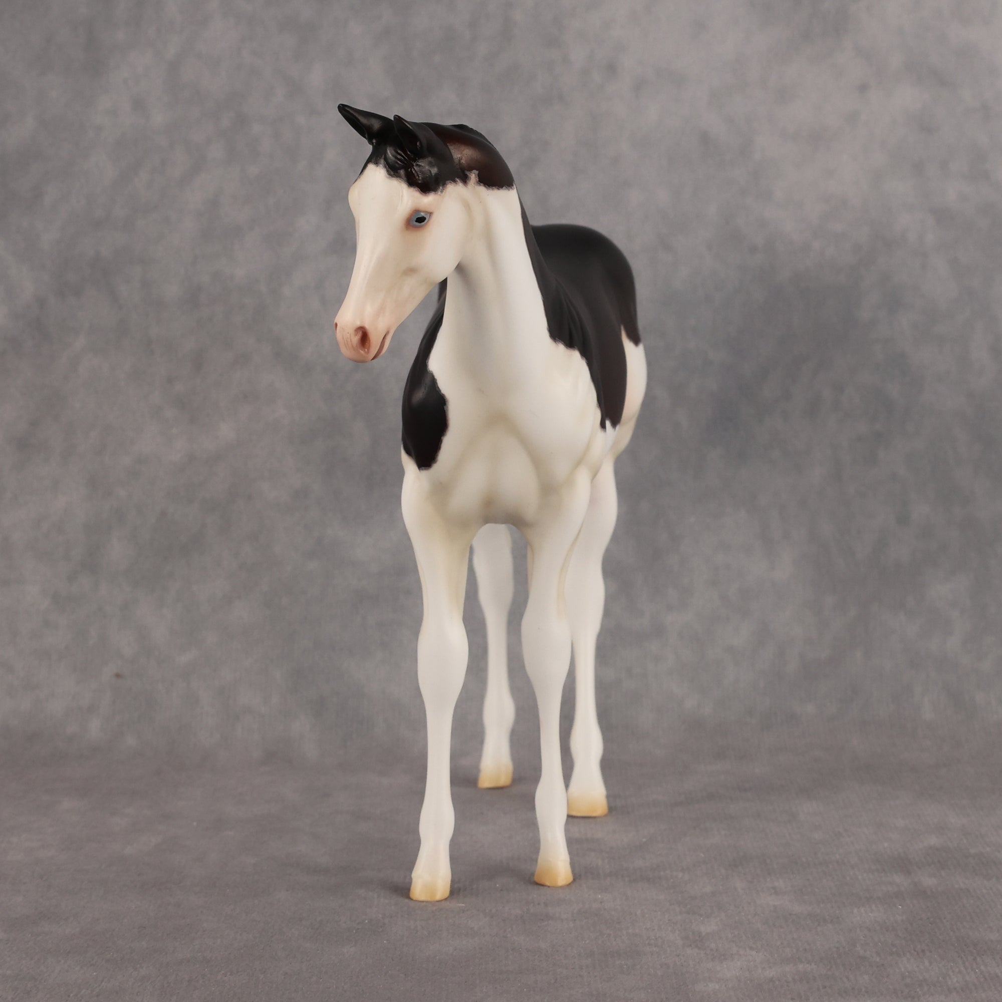 Delayed Debut OOAK Stock Horse Weanling by Heather Bullach Best Offer 8.18.2026