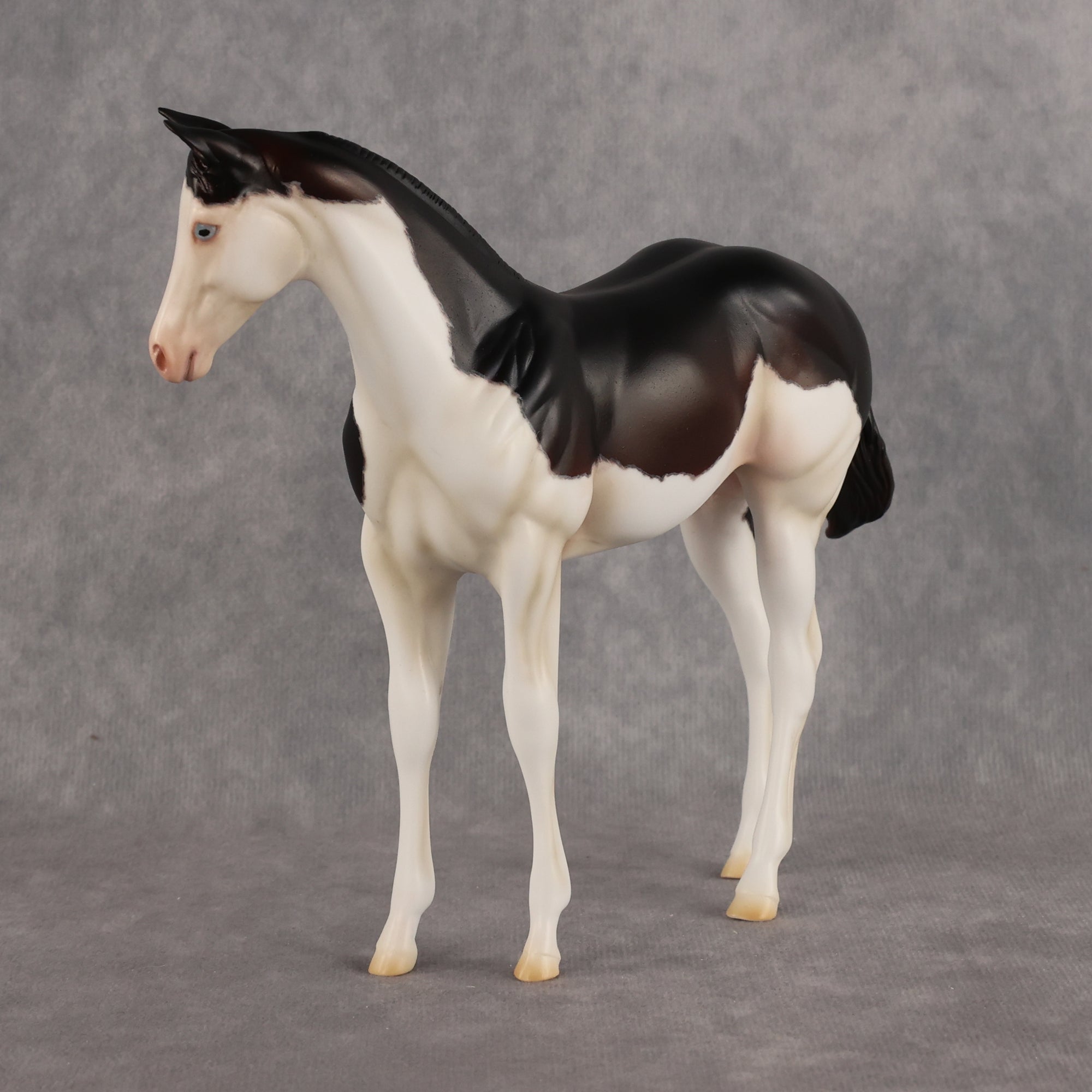 Delayed Debut OOAK Stock Horse Weanling by Heather Bullach Best Offer 8.18.2026