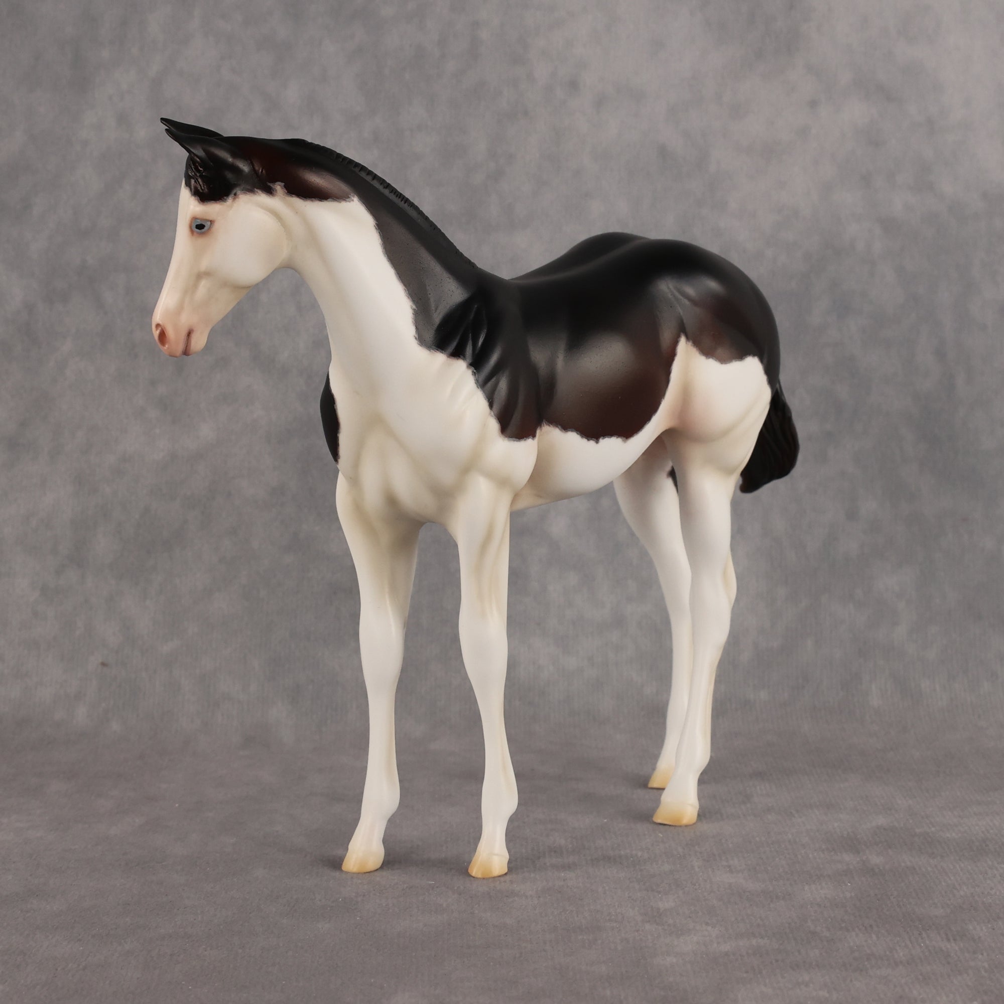 Delayed Debut OOAK Stock Horse Weanling by Heather Bullach Best Offer 8.18.2026