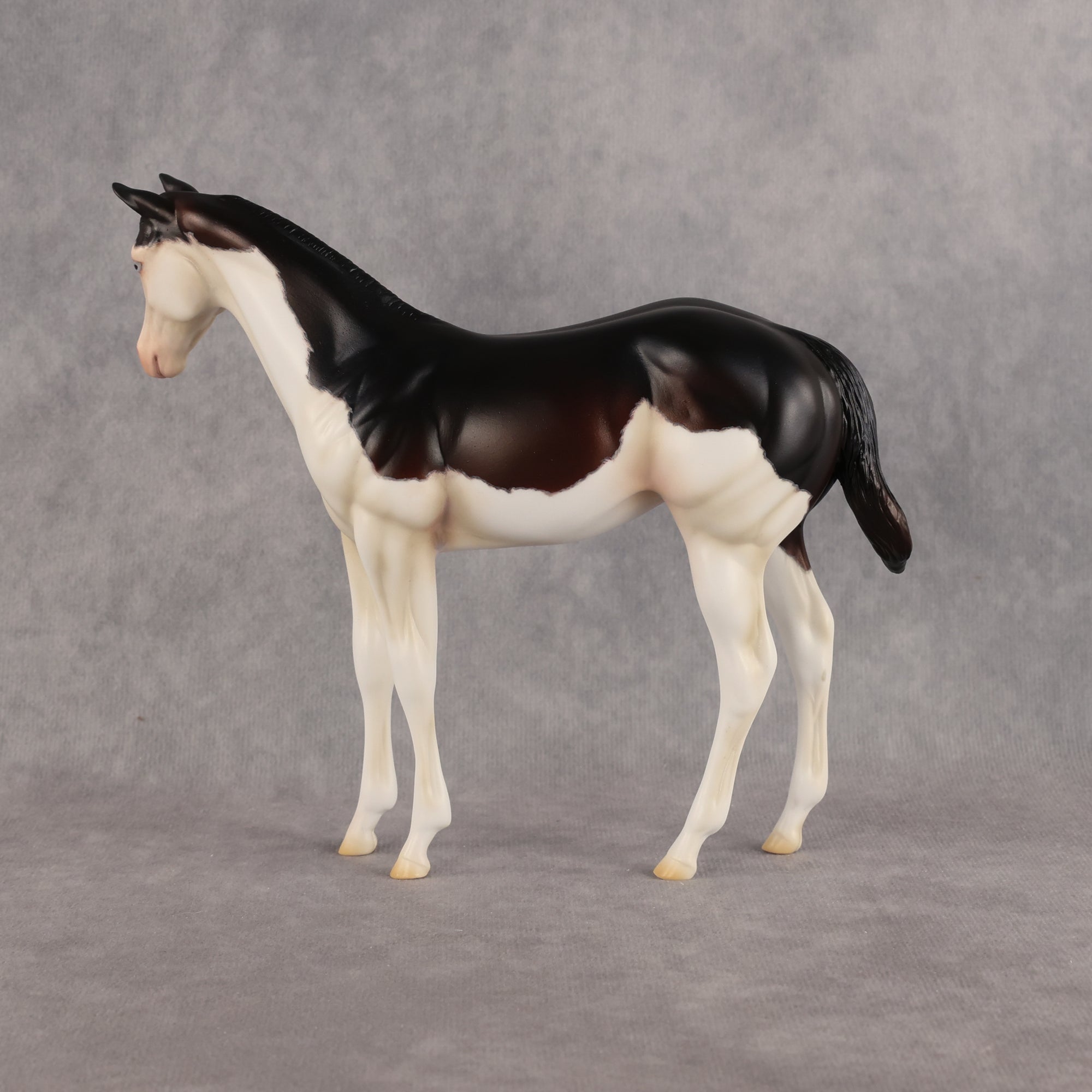 Delayed Debut OOAK Stock Horse Weanling by Heather Bullach Best Offer 8.18.2026