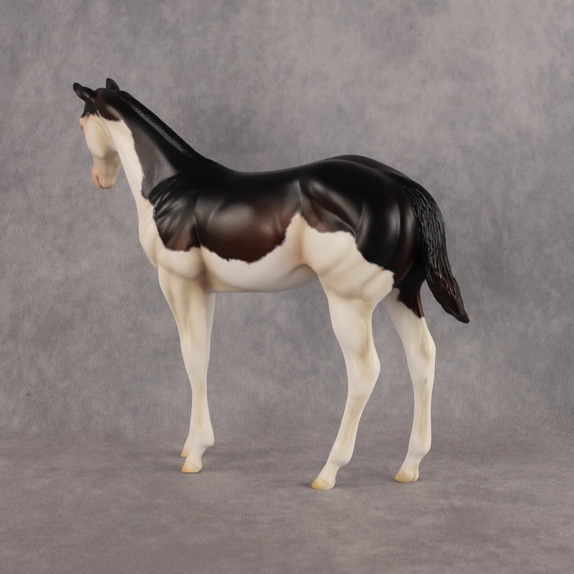 Delayed Debut OOAK Stock Horse Weanling by Heather Bullach Best Offer 8.18.2026