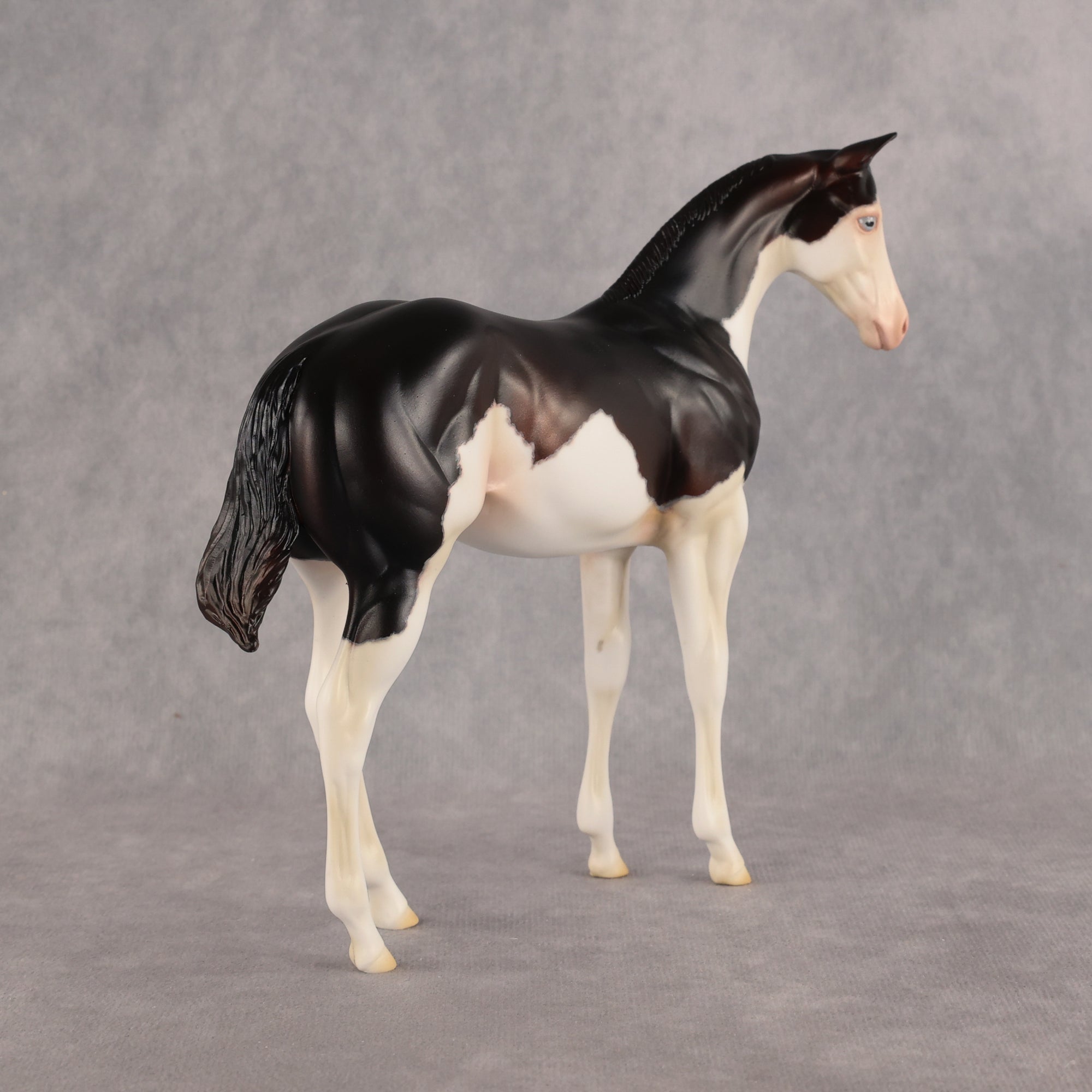 Delayed Debut OOAK Stock Horse Weanling by Heather Bullach Best Offer 8.18.2026
