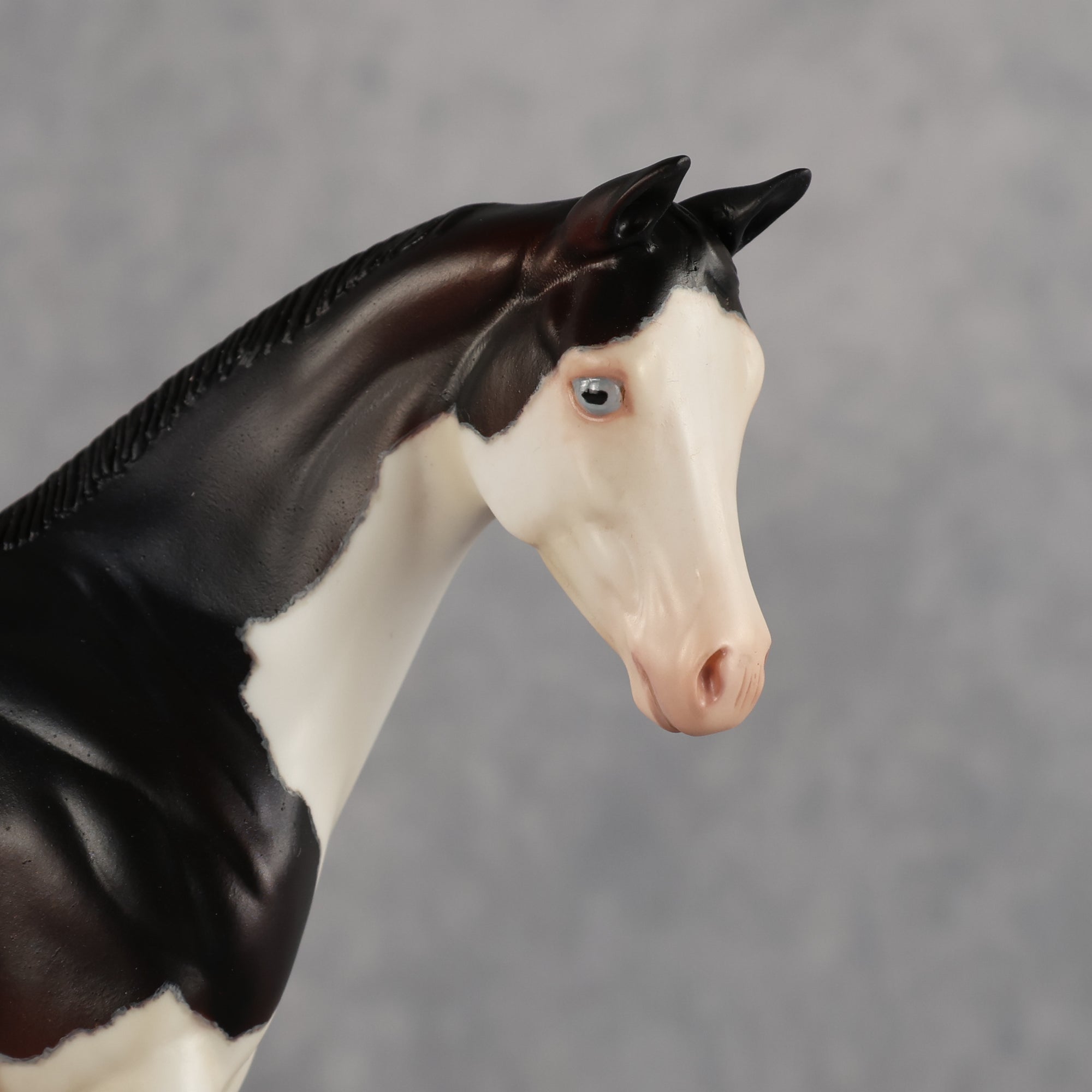 Delayed Debut OOAK Stock Horse Weanling by Heather Bullach Best Offer 8.18.2026