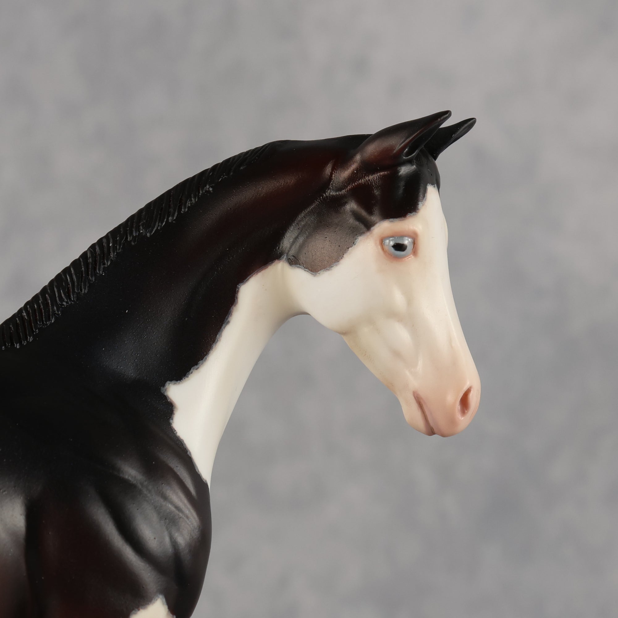 Delayed Debut OOAK Stock Horse Weanling by Heather Bullach Best Offer 8.18.2026