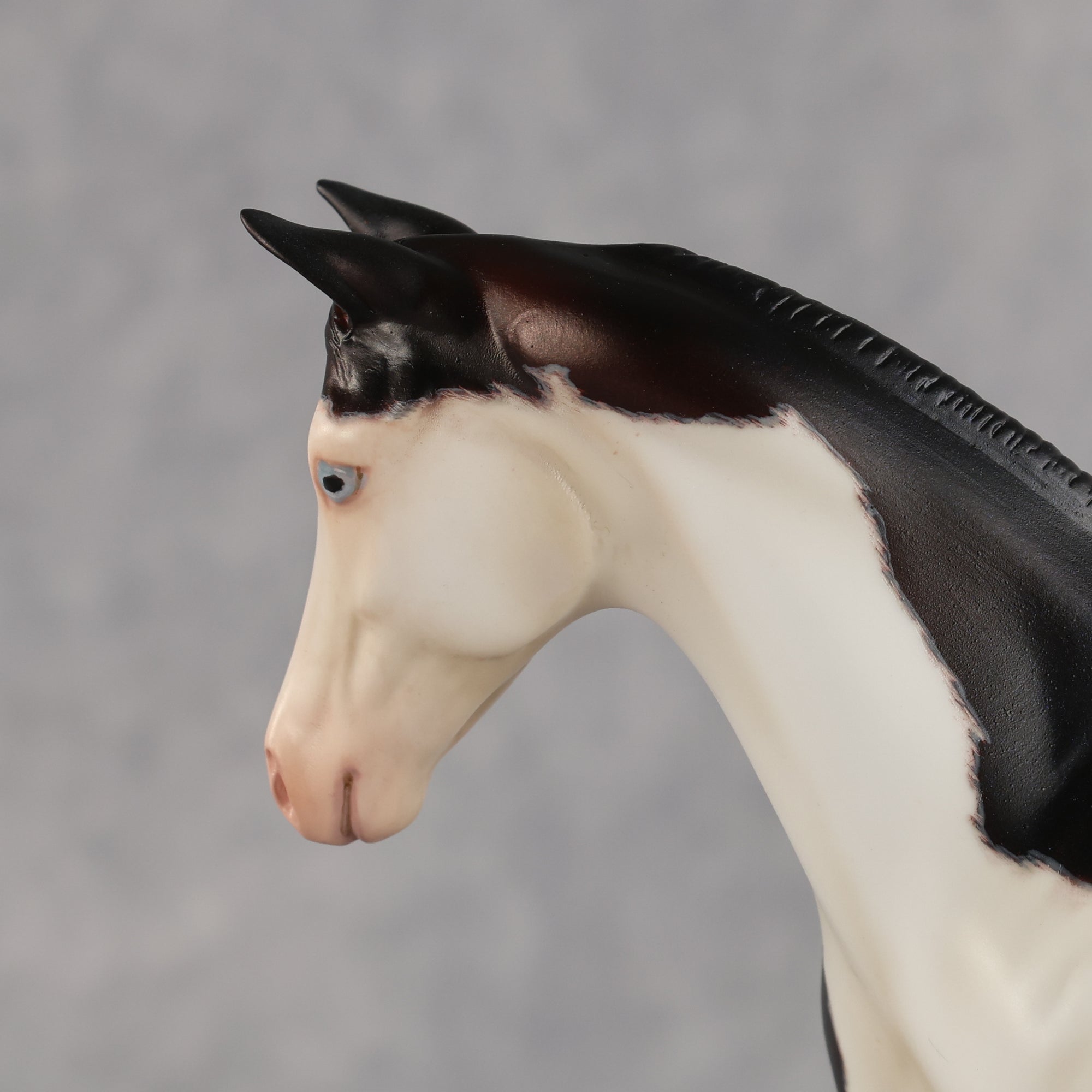 Delayed Debut OOAK Stock Horse Weanling by Heather Bullach Best Offer 8.18.2026