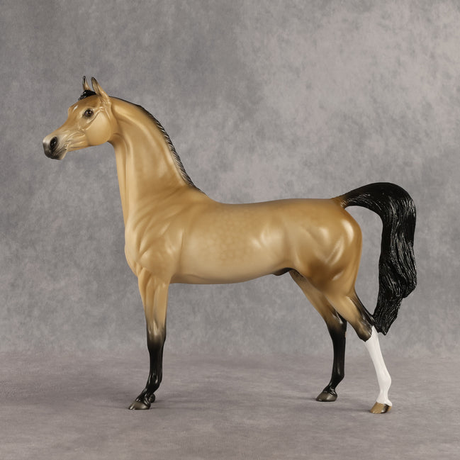 Dessert King OOAK Arabian Stallion by Ellen Robbins SHCF26