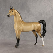 Dessert King OOAK Arabian Stallion by Ellen Robbins SHCF26