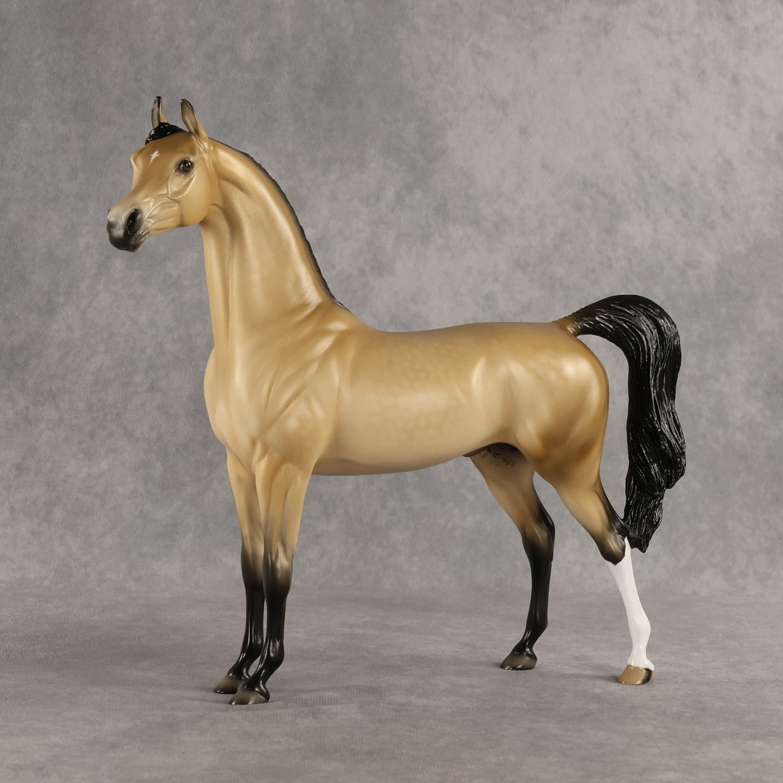 Dessert King OOAK Arabian Stallion by Ellen Robbins SHCF26