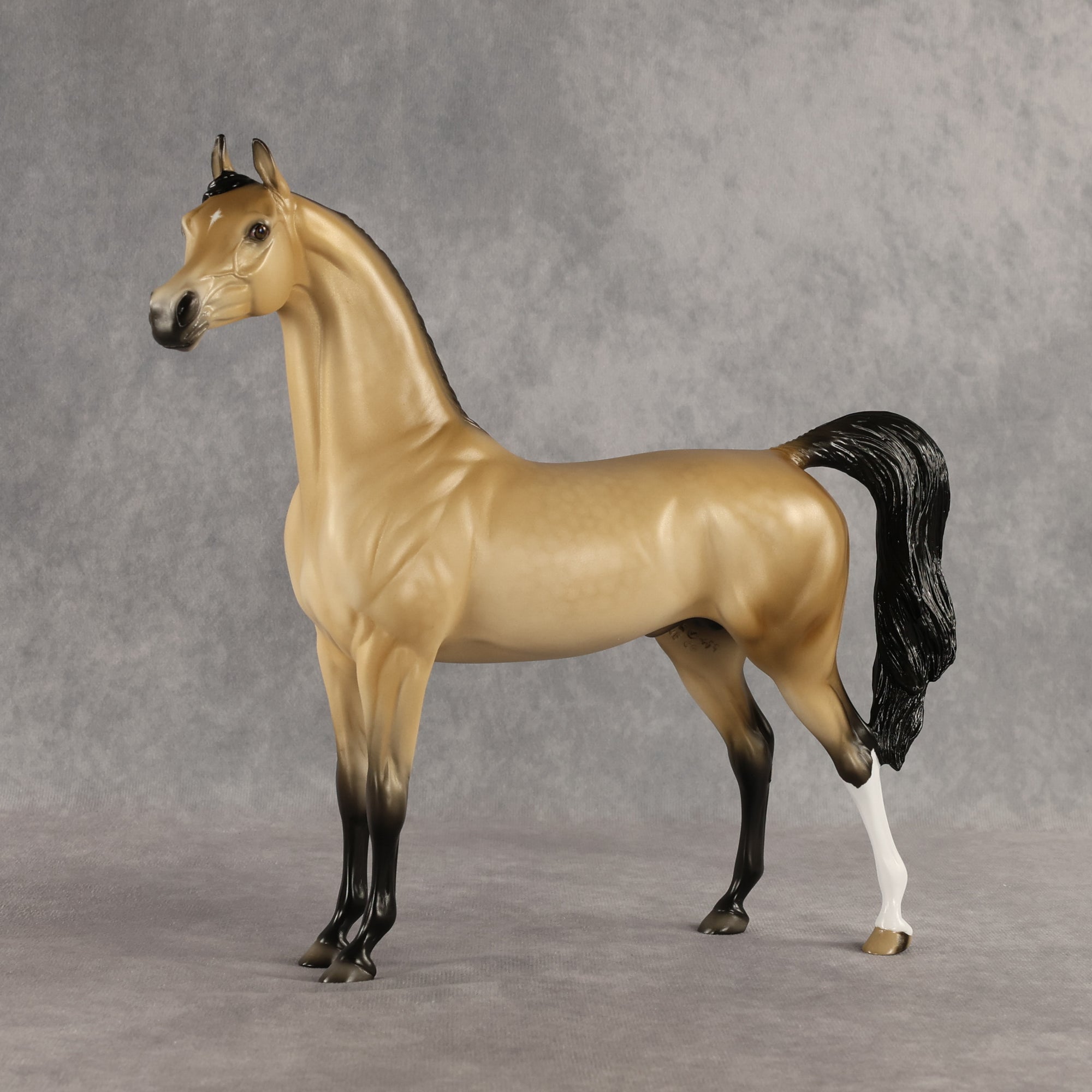 Dessert King OOAK Arabian Stallion by Ellen Robbins SHCF26