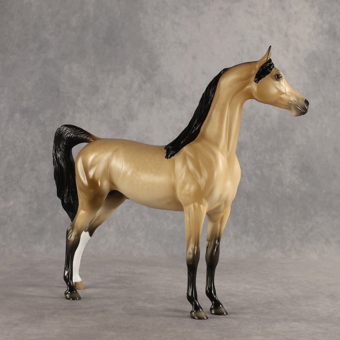 Dessert King OOAK Arabian Stallion by Ellen Robbins SHCF26