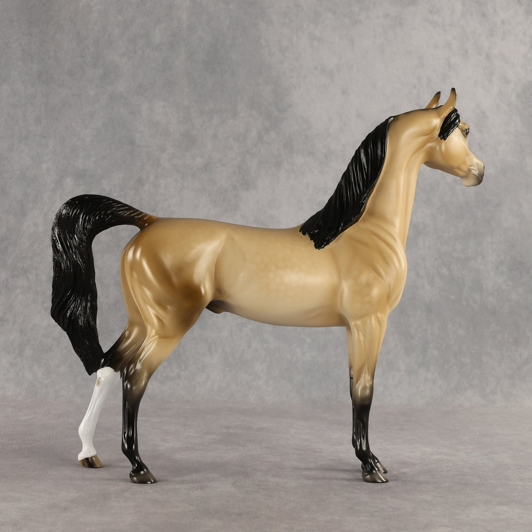 Dessert King OOAK Arabian Stallion by Ellen Robbins SHCF26