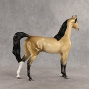 Dessert King OOAK Arabian Stallion by Ellen Robbins SHCF26
