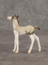 Destination OOAK Chip Foal by Ellen Robbins SHCF26