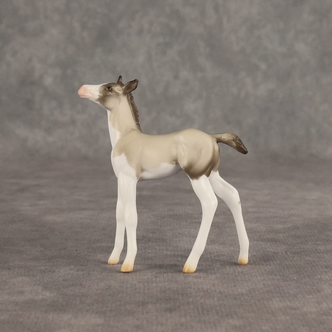Destination OOAK Chip Foal by Ellen Robbins SHCF26