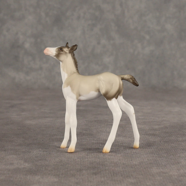 Destination OOAK Chip Foal by Ellen Robbins SHCF26
