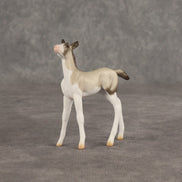 Destination OOAK Chip Foal by Ellen Robbins SHCF26