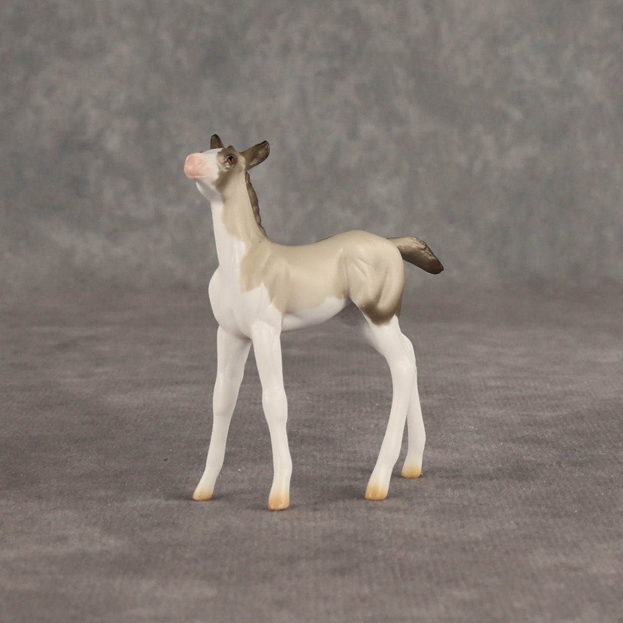 Destination OOAK Chip Foal by Ellen Robbins SHCF26