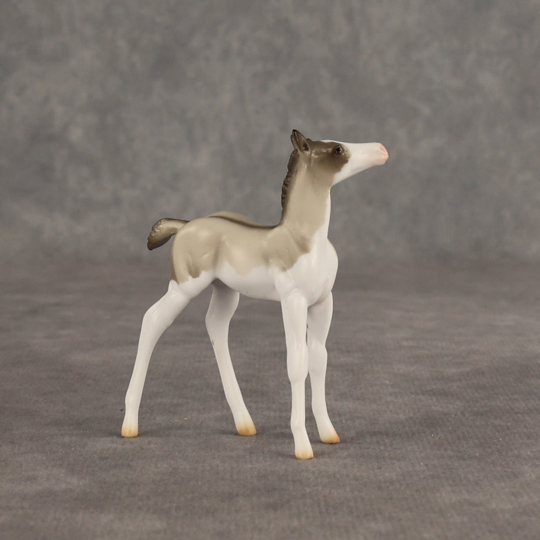 Destination OOAK Chip Foal by Ellen Robbins SHCF26