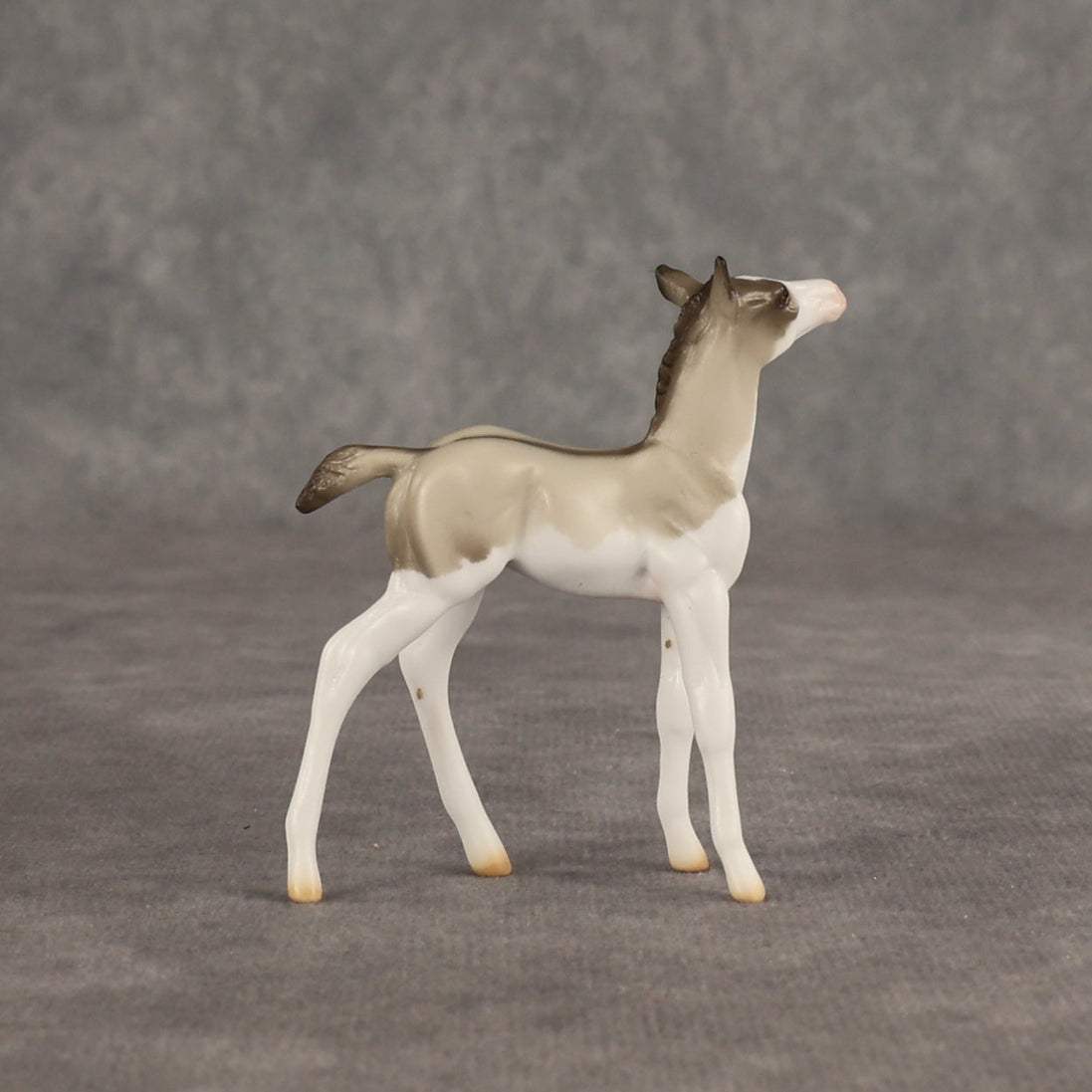 Destination OOAK Chip Foal by Ellen Robbins SHCF26