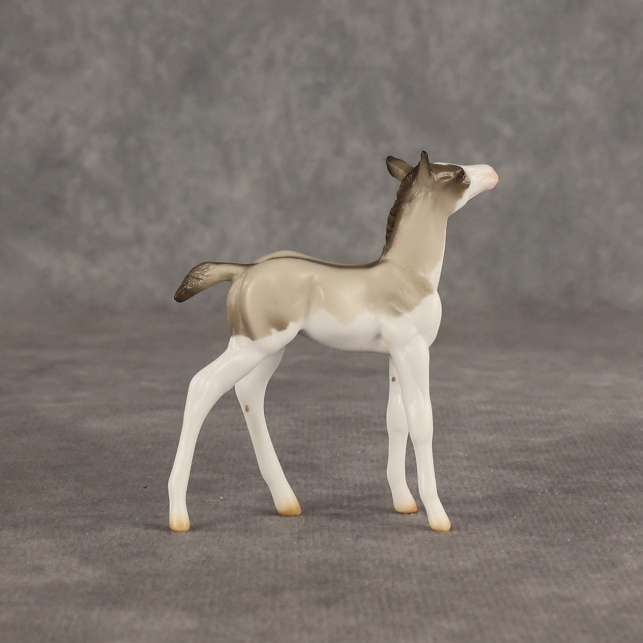 Destination OOAK Chip Foal by Ellen Robbins SHCF26