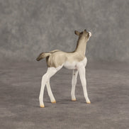 Destination OOAK Chip Foal by Ellen Robbins SHCF26