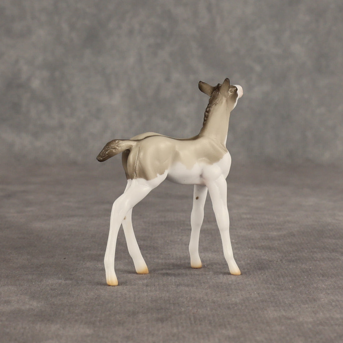 Destination OOAK Chip Foal by Ellen Robbins SHCF26