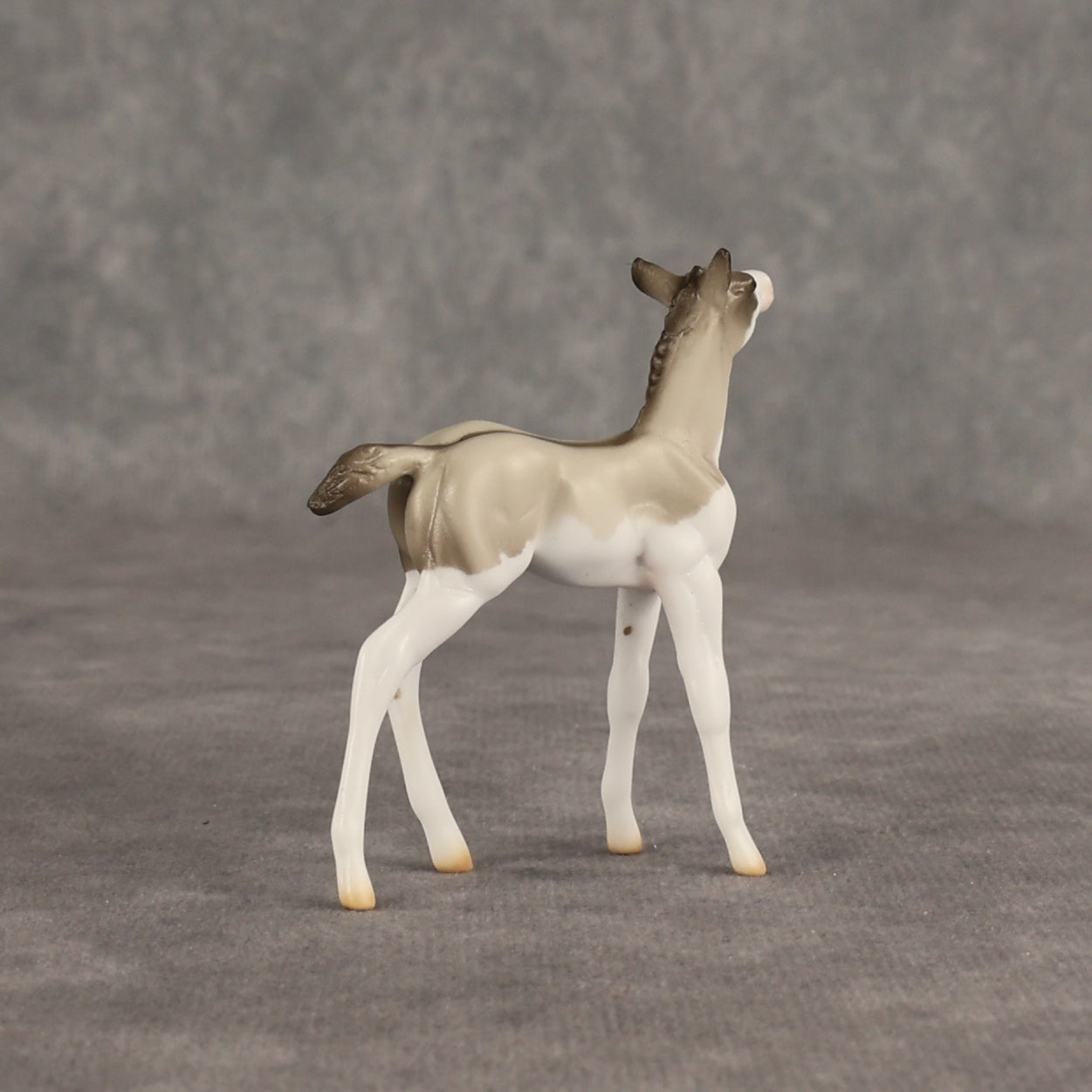 Destination OOAK Chip Foal by Ellen Robbins SHCF26