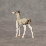 Destination OOAK Chip Foal by Ellen Robbins SHCF26