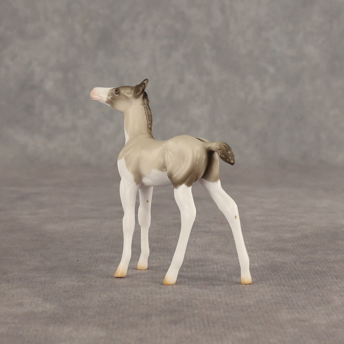 Destination OOAK Chip Foal by Ellen Robbins SHCF26