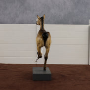 Diana OOAK EFCM Pimento by Tiffany Purdy GS26